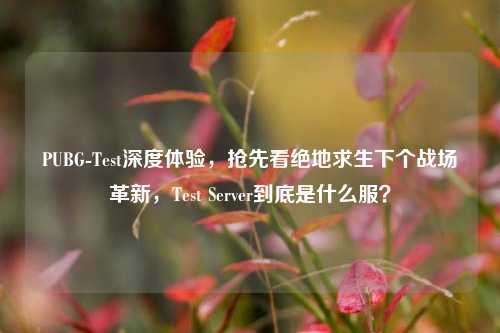 PUBG-Test深度体验,抢先看绝地求生下个战场革新,Test Server到底是什么服?