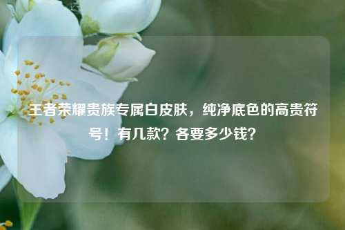王者荣耀贵族专属白皮肤,纯净底色的高贵符号!有几款?各要多少钱?