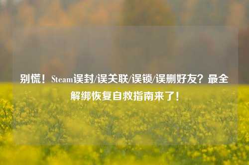 别慌!Steam误封/误关联/误锁/误删好友?最全解绑恢复自救指南来了!