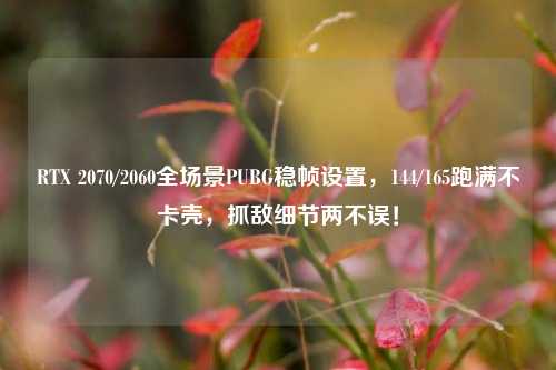 RTX 2070/2060全场景PUBG稳帧设置,144/165跑满不卡壳,抓敌细节两不误!