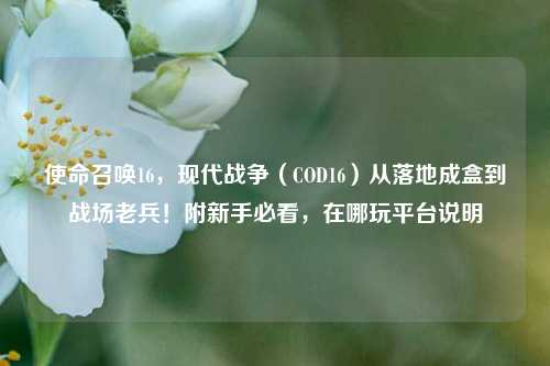使命召唤16,现代战争(COD16)从落地成盒到战场老兵!附新手必看,在哪玩平台说明