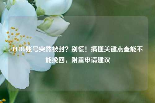 PUBG账号突然被封?别慌!搞懂关键点查能不能挽回,附重申请建议