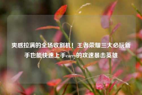 爽感拉满的全场收割机!王者荣耀三大必玩新手也能快速上手carry的攻速暴击英雄