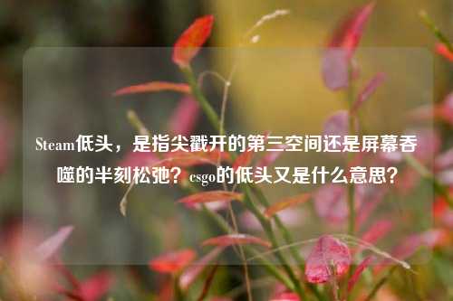 Steam低头,是指尖戳开的第三空间还是屏幕吞噬的半刻松弛?csgo的低头又是什么意思?