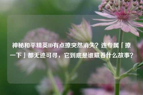神秘和平精英ID有点撩突然消失?连专属「撩一下」都无迹可寻,它到底是谁藏着什么故事?