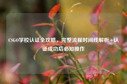CSGO学校认证全攻略,完整流程时间线解析+认证成功后必知操作