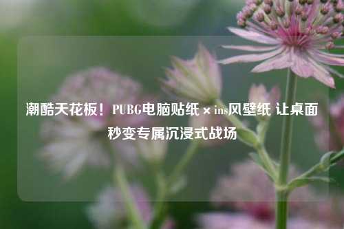 潮酷天花板!PUBG电脑贴纸×ins风壁纸 让桌面秒变专属沉浸式战场