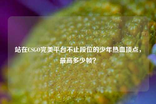 站在CSGO完美平台不止段位的少年热血顶点,更高多少帧?