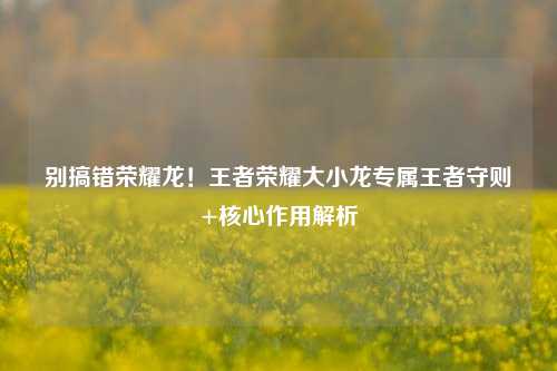 别搞错荣耀龙!王者荣耀大小龙专属王者守则+核心作用解析