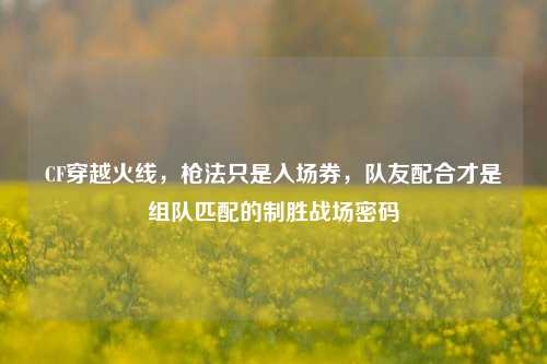 CF穿越火线,枪法只是入场券,队友配合才是组队匹配的制胜战场密码
