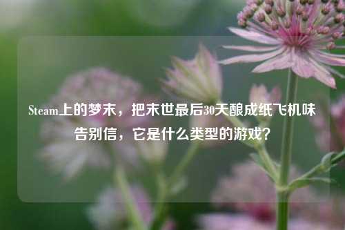 Steam上的梦末,把末世最后30天酿成纸飞机味告别信,它是什么类型的游戏?
