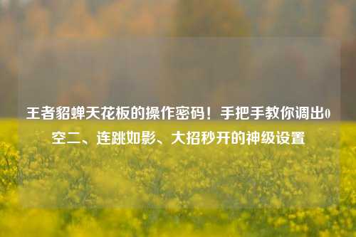 王者貂蝉天花板的操作密码!手把手教你调出0空二、连跳如影、大招秒开的神级设置