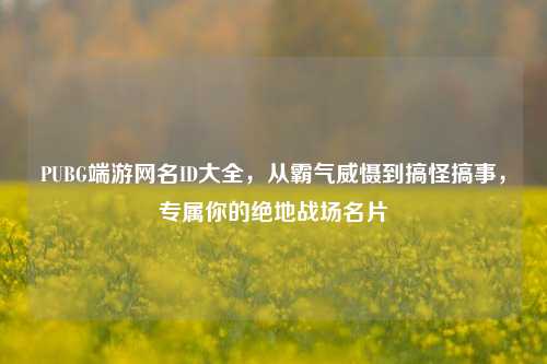 PUBG端游网名ID大全,从霸气威慑到搞怪搞事,专属你的绝地战场名片
