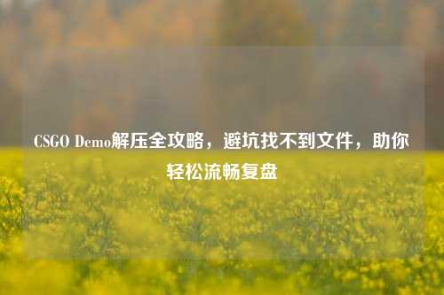 CSGO Demo解压全攻略,避坑找不到文件,助你轻松流畅复盘