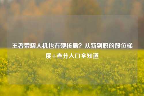 王者荣耀人机也有硬核局?从新到职的段位梯度+查分入口全知道