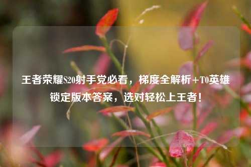 王者荣耀S20射手党必看,梯度全解析+T0英雄锁定版本答案,选对轻松上王者!