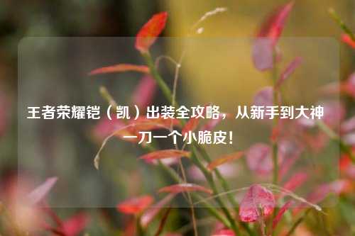 王者荣耀铠(凯)出装全攻略,从新手到大神 一刀一个小脆皮!