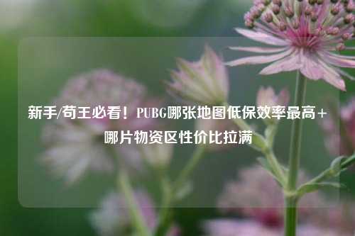新手/苟王必看!PUBG哪张地图低保效率更高+哪片物资区性价比拉满