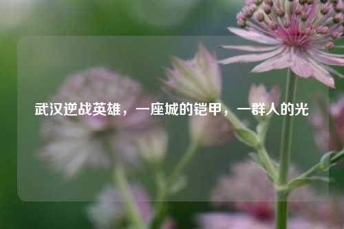 武汉逆战英雄,一座城的铠甲,一群人的光