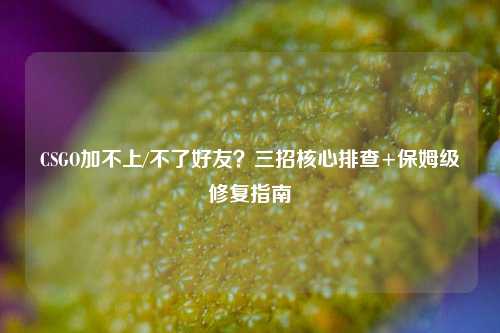 CSGO加不上/不了好友?三招核心排查+保姆级修复指南