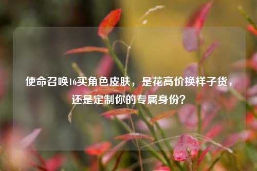 使命召唤16买角色皮肤,是花高价换样子货,还是定制你的专属身份?