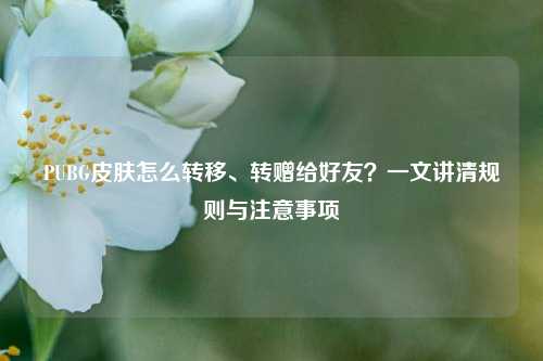 PUBG皮肤怎么转移、转赠给好友?一文讲清规则与注意事项