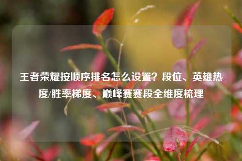 王者荣耀按顺序排名怎么设置?段位、英雄热度/胜率梯度、巅峰赛赛段全维度梳理