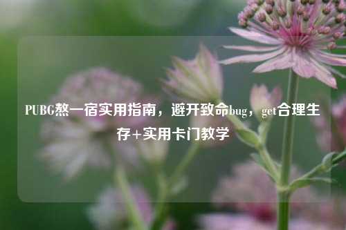 PUBG熬一宿实用指南,避开致命bug,get合理生存+实用卡门教学
