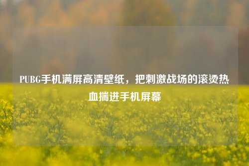 PUBG手机满屏高清壁纸,把***战场的滚烫热血揣进手机屏幕