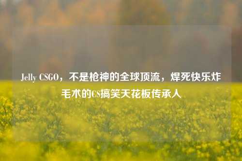 Jelly CSGO,不是枪神的全球顶流,焊死快乐炸毛术的CS搞笑天花板传承人