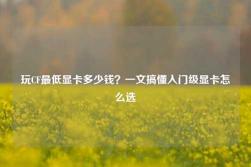 玩CF更低显卡多少钱?一文搞懂入门级显卡怎么选