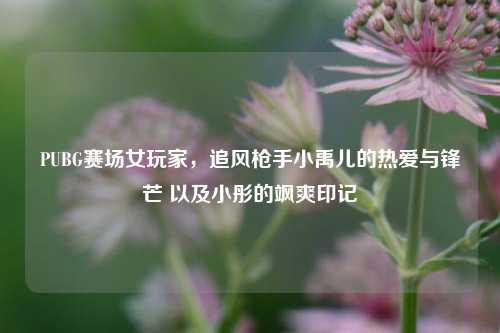 PUBG赛场女玩家,追风***小禹儿的热爱与锋芒 以及小彤的飒爽印记