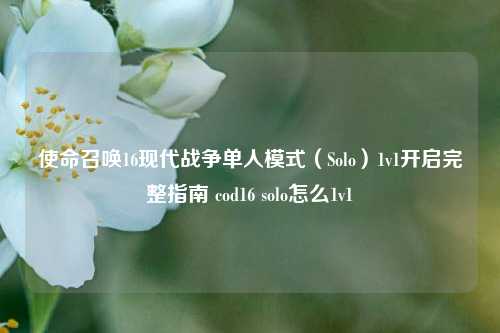 使命召唤16现代战争单人模式(Solo)1v1开启完整指南 cod16 solo怎么1v1