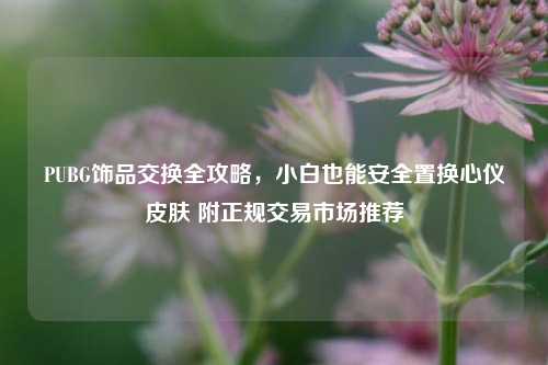 PUBG饰品交换全攻略,小白也能安全置换心仪皮肤 附正规交易市场推荐
