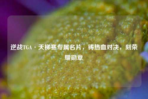 逆战TGA·天梯赛专属名片,铸热血对决,刻荣耀勋章