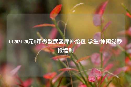 CF2021 20元Q币微型武器库补给包 学生/休闲党秒抢福利