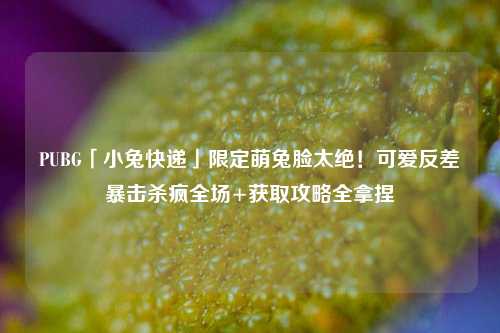 PUBG「小兔快递」限定萌兔脸太绝!可爱反差暴击杀疯全场+获取攻略全拿捏