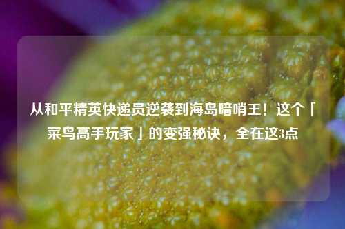 从和平精英快递员逆袭到海岛暗哨王!这个「菜鸟高手玩家」的变强秘诀,全在这3点
