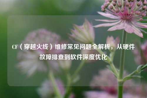 CF(穿越火线)维修常见问题全解析,从硬件故障排查到软件深度优化