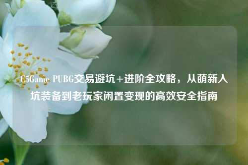 C5Game PUBG交易避坑+进阶全攻略,从萌新入坑装备到老玩家闲置变现的高效安全指南