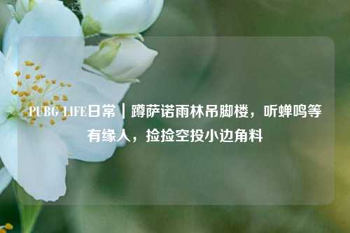 PUBG LIFE日常|蹲萨诺雨林吊脚楼,听蝉鸣等有缘人,捡捡空投小边角料