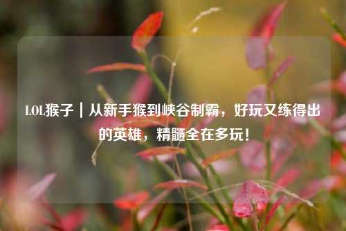 LOL猴子|从新手猴到峡谷制霸,好玩又练得出的英雄,精髓全在多玩!
