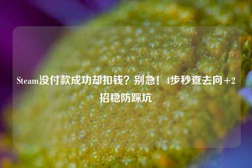 Steam没付款成功却扣钱?别急!4步秒查去向+2招稳防踩坑