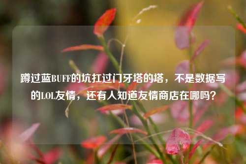 蹲过蓝BUFF的坑扛过门牙塔的塔,不是数据写的LOL友情,还有人知道友情商店在哪吗?