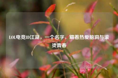 LOL电竞ID江湖,一个名字,藏着热爱脑洞与滚烫青春
