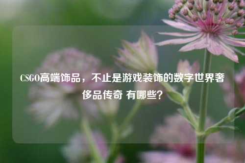 CSGO高端饰品,不止是游戏装饰的数字世界奢侈品传奇 有哪些?