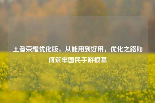 王者荣耀优化版,从能用到好用,优化之路如何筑牢国民手游根基