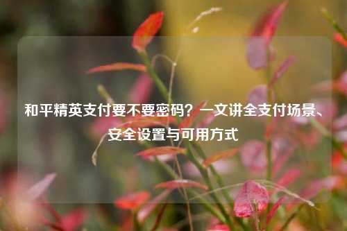 和平精英支付要不要密码?一文讲全支付场景、安全设置与可用方式