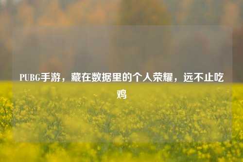 PUBG手游,藏在数据里的个人荣耀,远不止吃鸡