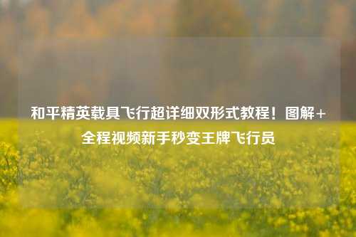 和平精英载具飞行超详细双形式教程!图解+全程视频新手秒变王牌飞行员